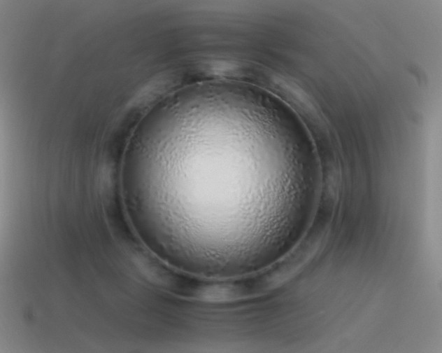 X0000115480461200911061221