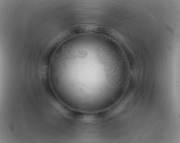 X0000115480462200911061221