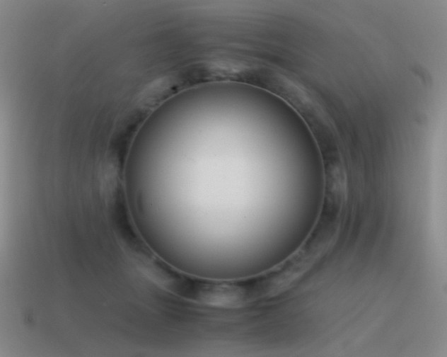 X0000115480463200911061221