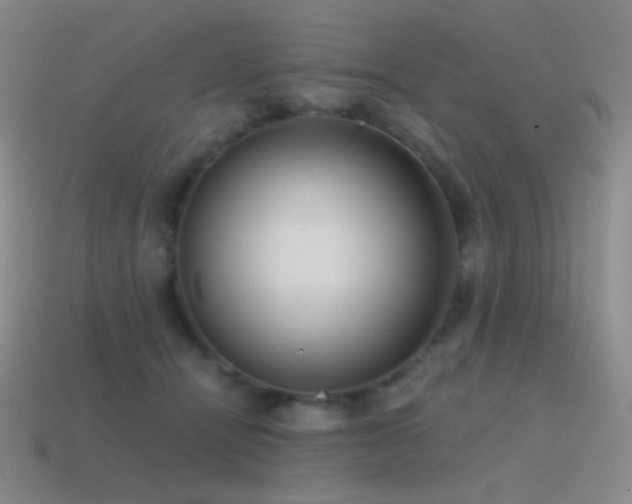 X0000115480464200911061221