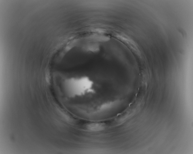 X0000115480465200911061221