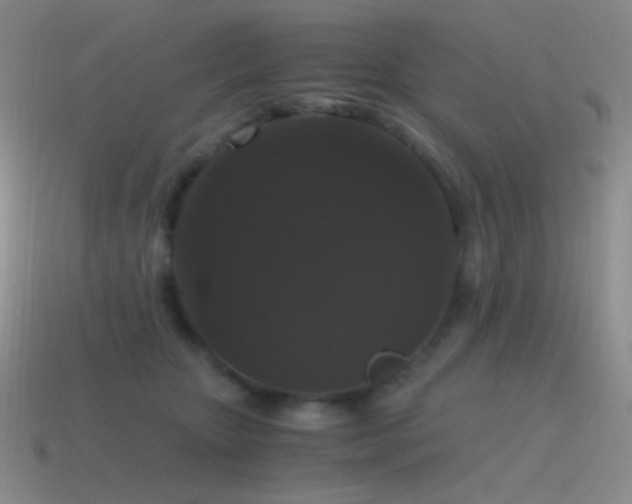 X0000115480467200911061221