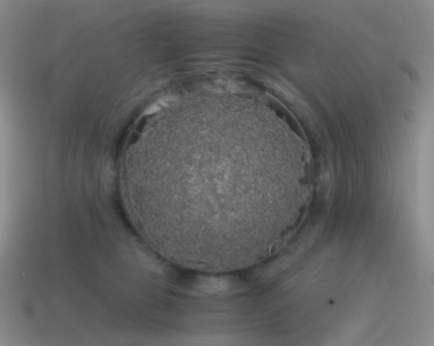 X0000115480469200911061221