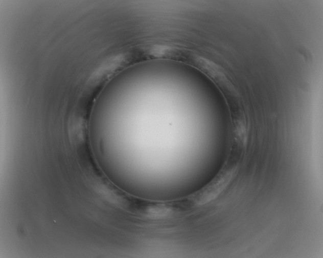 X0000115480470200911061221