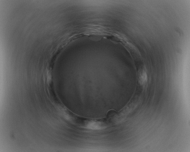 X0000115480471200911061221