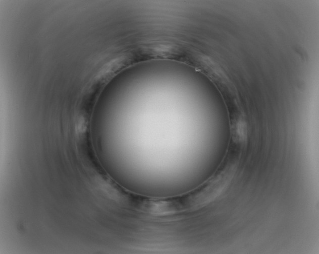 X0000115480472200911061221