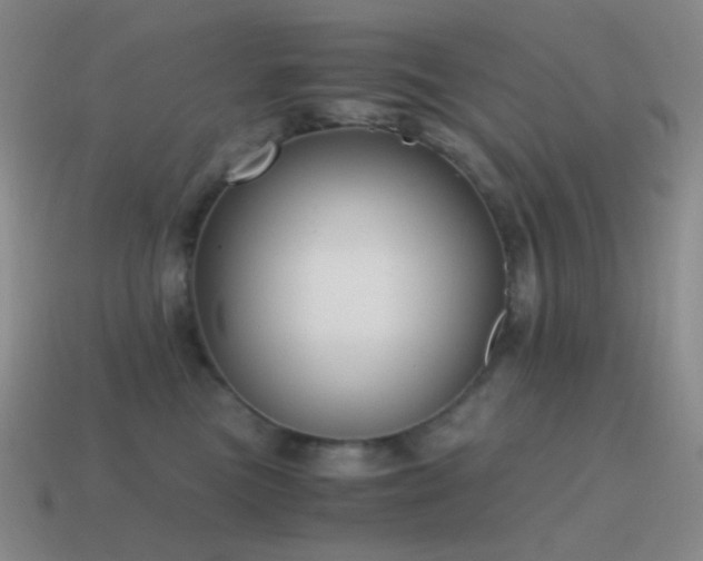 X0000115480473200911061221