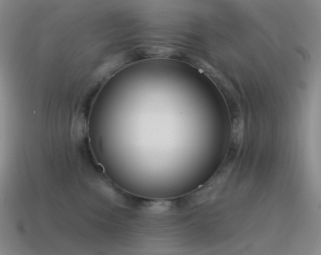 X0000115480474200911061221