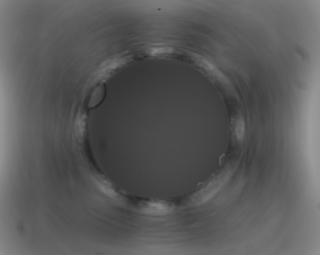 X0000115480475200911061221