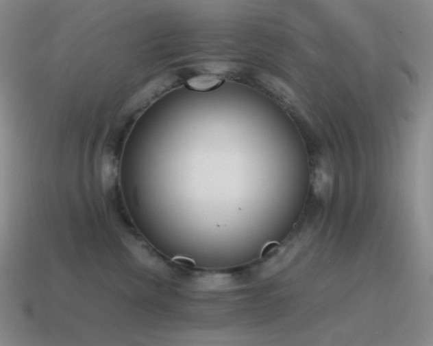 X0000115480476200911061221