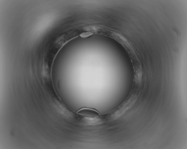 X0000115480477200911061221