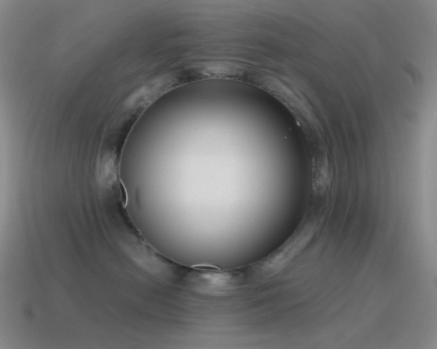 X0000115480478200911061221