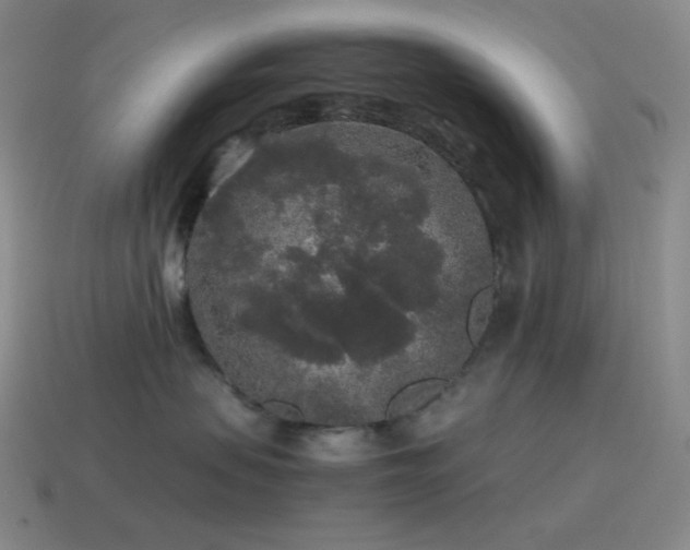 X0000115480479200911061221