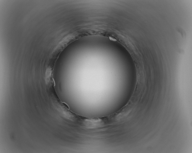 X0000115480480200911061221