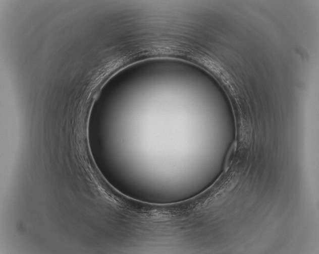 X0000115480481200911061220