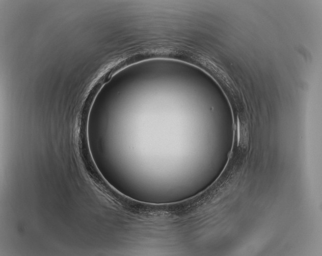 X0000115480483200911061220