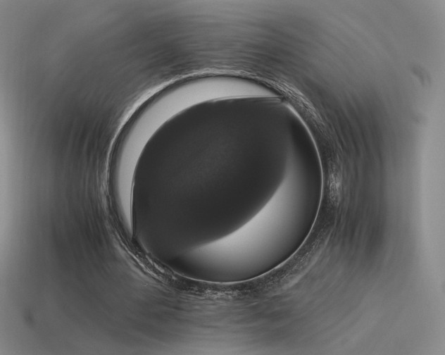 X0000115480484200911061220