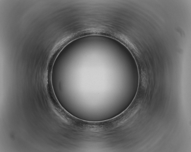 X0000115480486200911061220