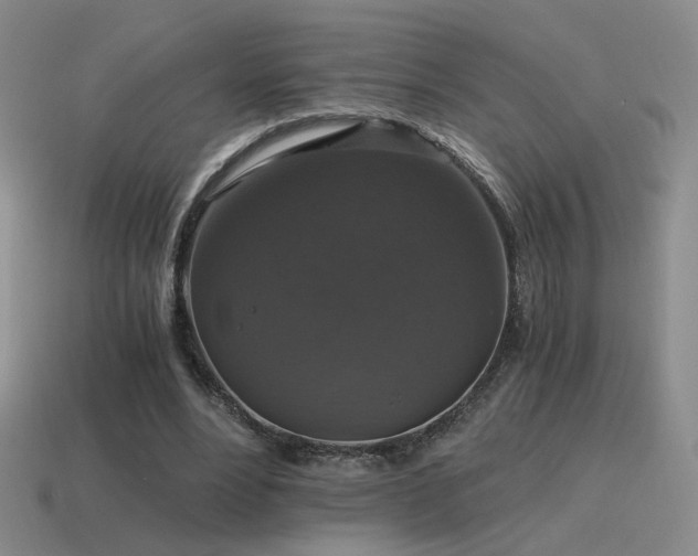 X0000115480488200911061220