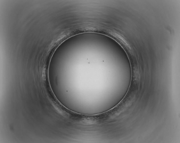 X0000115480489200911061220