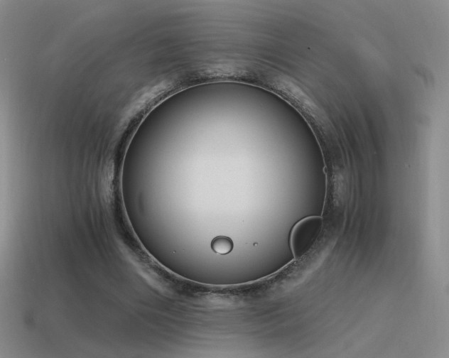 X0000115480490200911061220