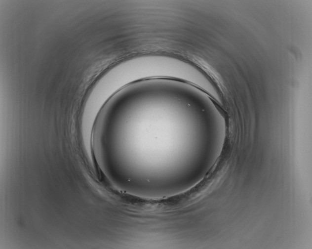 X0000115480493200911061220