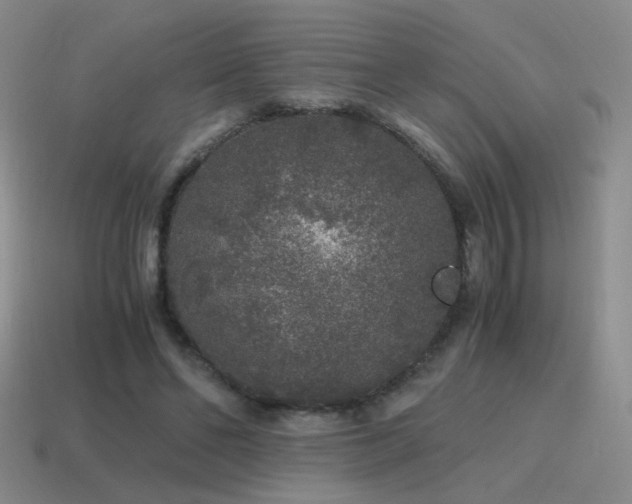 X0000115480494200911061220