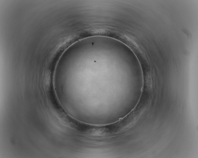 X0000115480495200911061220