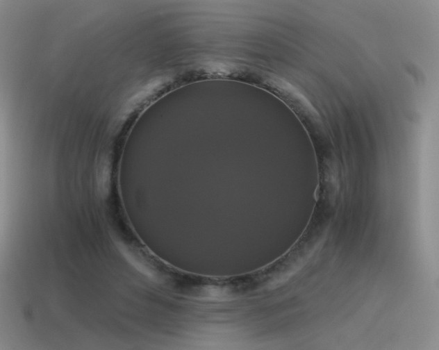 X0000115480496200911061220