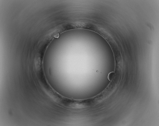 X0000115480498200911061220