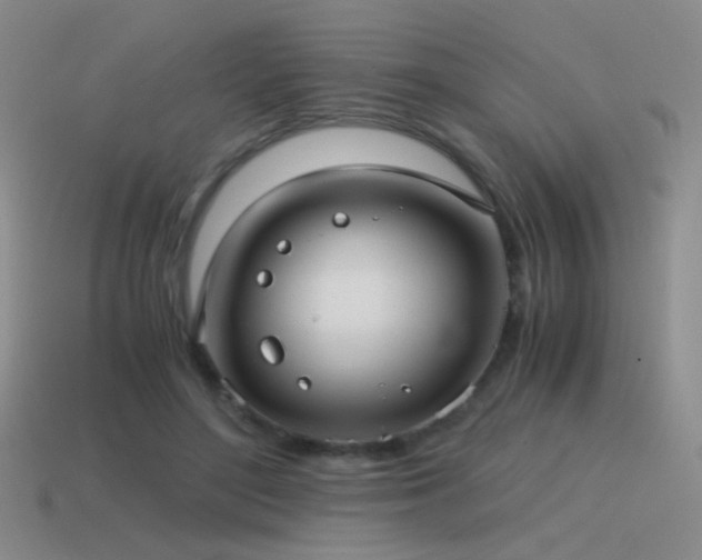X0000115480500200911061220