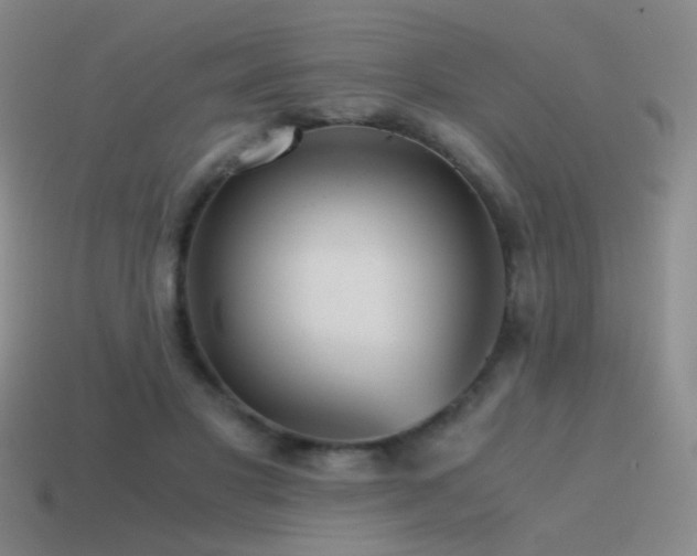 X0000115480501200911061220