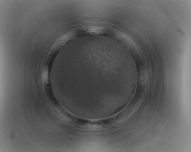 X0000115480502200911061220