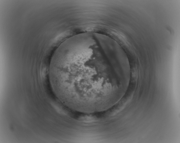 X0000115480503200911061220