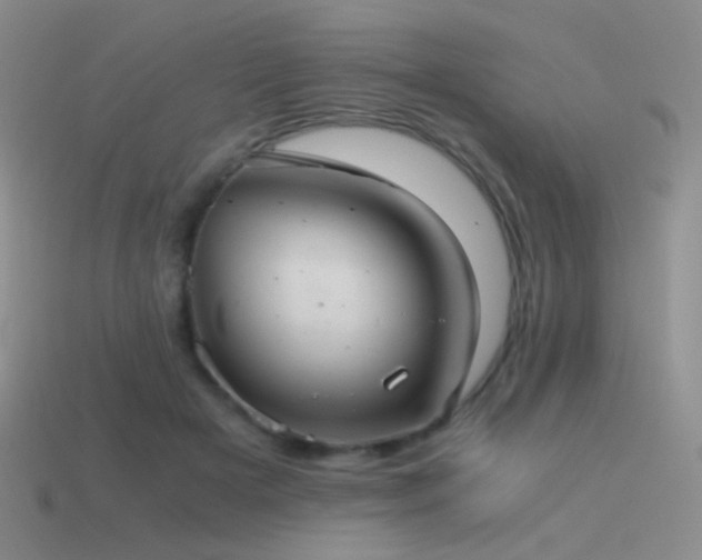 X0000115480505200911061220