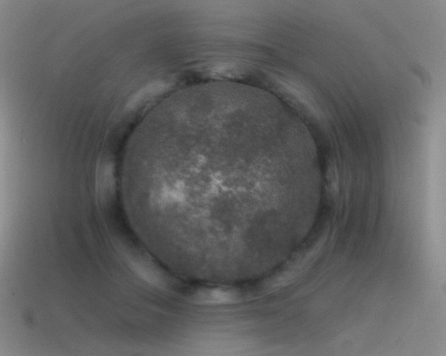 X0000115480506200911061220