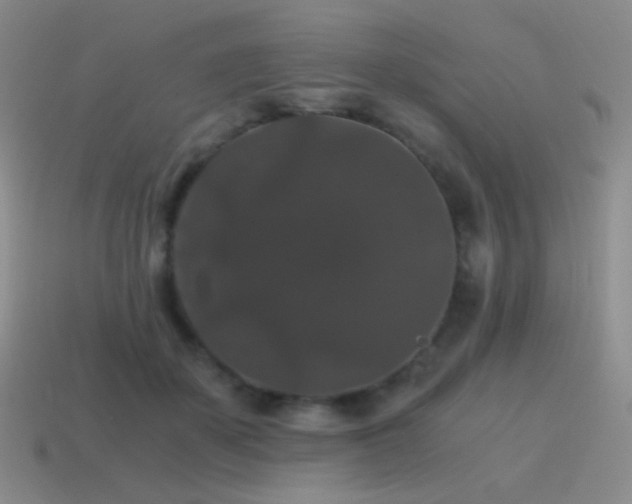 X0000115480507200911061220