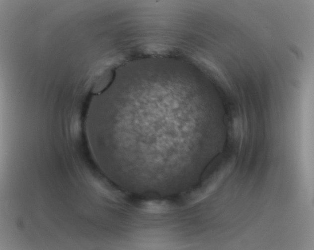 X0000115480508200911061220