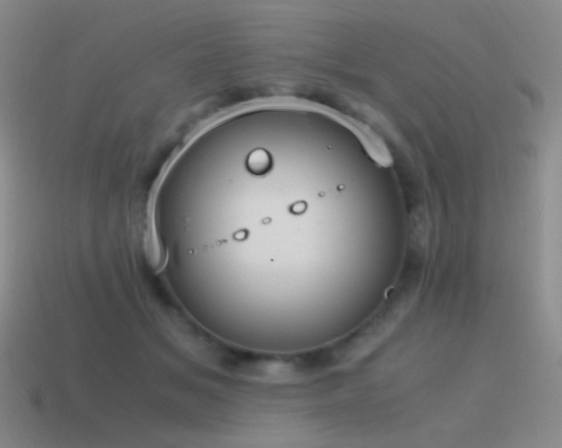 X0000115480509200911061220