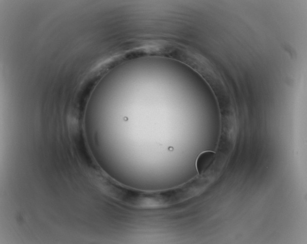 X0000115480510200911061220