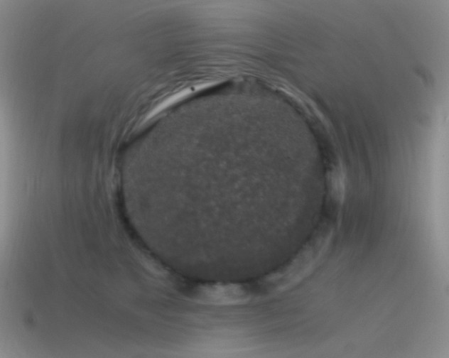 X0000115480517200911061220