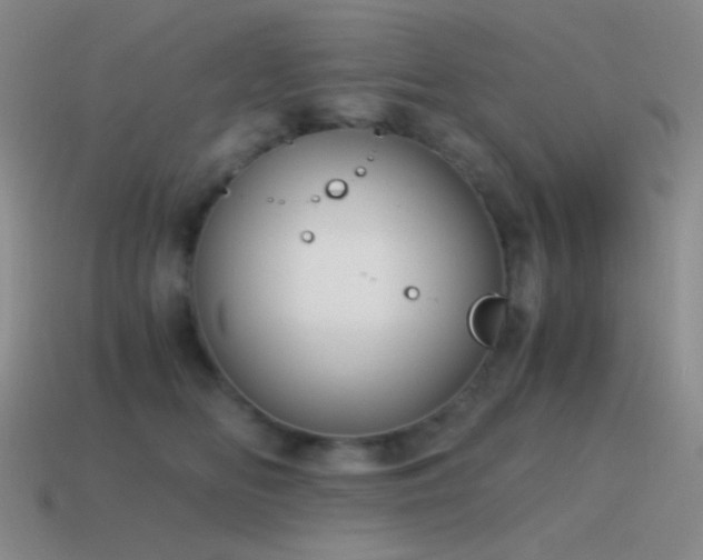 X0000115480518200911061220