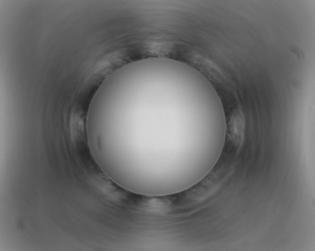 X0000115480522200911061220