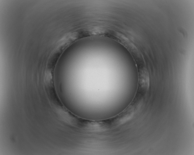 X0000115480523200911061220