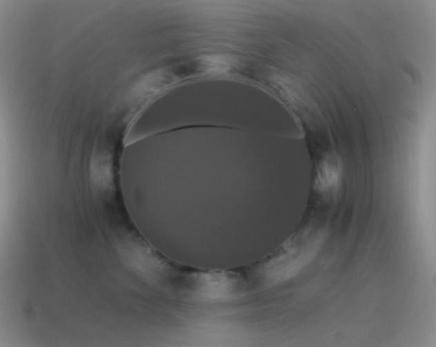 X0000115480524200911061220