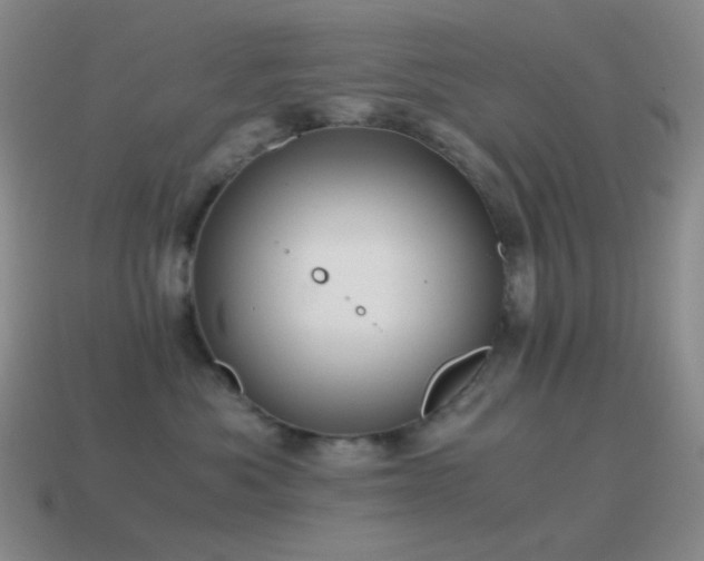X0000115480525200911061220