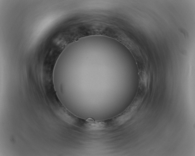 X0000115480526200911061220