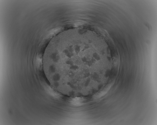X0000115480527200911061220