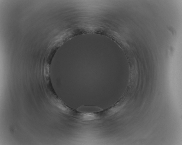 X0000115480528200911061220