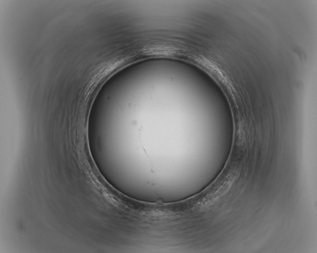 X0000115480529200911061219